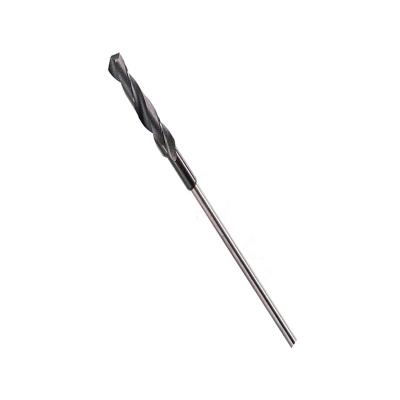 BOSCH M&egrave;ches pour coffrages et lambrissages, &agrave; queue SDS plus 30 x 600 mm