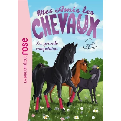 Mes amis les chevaux 02 - La grande comp&eacute;tition 