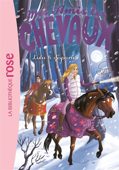 Mes amis les chevaux 15 - Lulu a disparu ! (Poche)