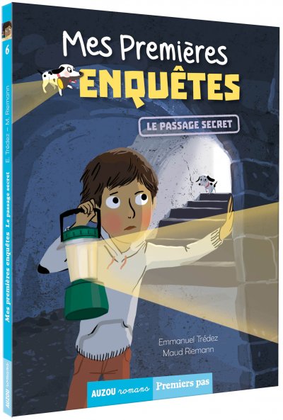 MES PREMI&Egrave;RES ENQU&Ecirc;TES - TOME 6 - LE PASSAGE SECRET (Jeunesse)