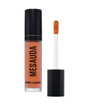 MESAUDA BEAUTY Mesauda Milano - PRO LIGHT CONCEALER CORRECTEUR P01 30 ml