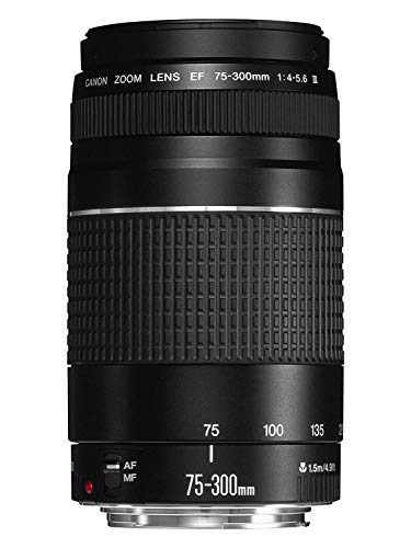CANON Microphone sans fil BY-WM4 Pro-K2 (TX4+TX4+RX4)