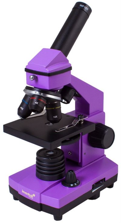 LEVENHUK Microscope  Rainbow 2L PLUS Am&eacute;thyste