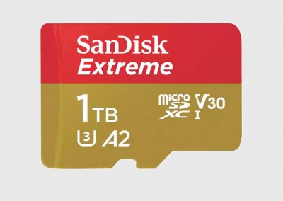 SANDISK Microsdxc extreme 1tb 190/130 mb/s - a2 - v30 - sd ,