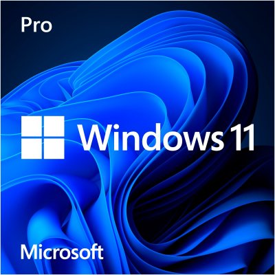 MICROSOFT  FQC-10528 Win 11 Pro 64Bit Eng Intl 1pk DSP OEI DVD