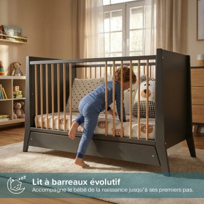 MINEA  Lit b&eacute;b&eacute; &eacute;volutif avec tiroir TIMEO 60x120 cm (Matelas non Inclus)