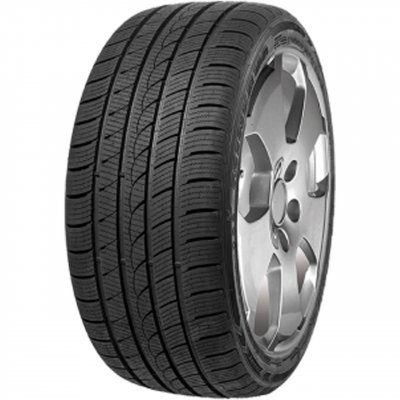 MINERVA  Ice-Plus S220 255/50 R19 107V