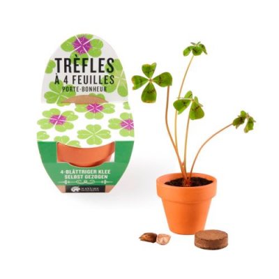 NATURE ET DECOUVERTES Mini kit de tr&egrave;fle &agrave; 4 feuilles FC-1-13721141