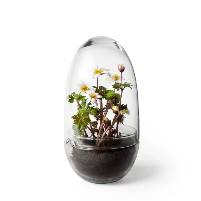 Mini-serre Grow Verre fait &agrave; la main transparent L