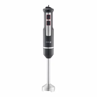 FAGOR Mixeur plongeant  divamix innox acier 1000 w