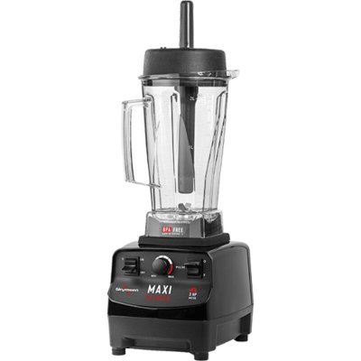 MATERIEL CHR PRO Mixeur Professionnel Maxi Blender 2 litres BM2 SKYMSEN 