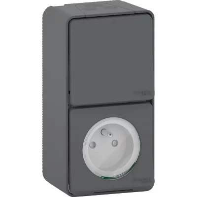 SCHNEIDER ELECTRIC Mixte prise de courant + interrupteur anthracite en saillie &eacute;tanche Mureva