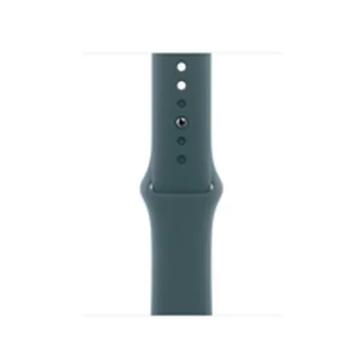 Mod&egrave;le du produit : apple watch 42 lake green sb sm MXL93ZM/A 