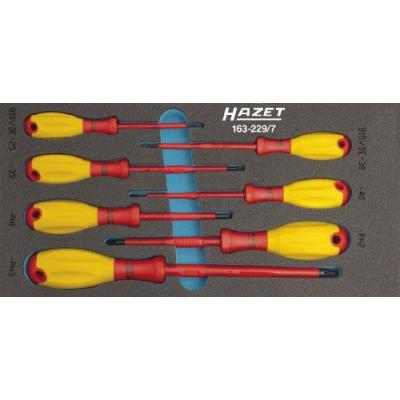 HAZET Module &agrave; outils 163-229/7 7 pi&egrave;ces nombre d'outils : 7 