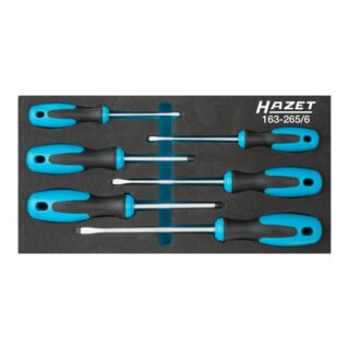 HAZET Module &agrave; outils 163-265/6 6 pi&egrave;ces 