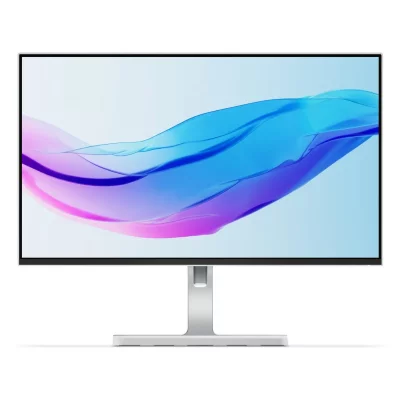 LENOVO Moniteur  L24m-4A 23,8"" IPS FHD 100 Hz noir