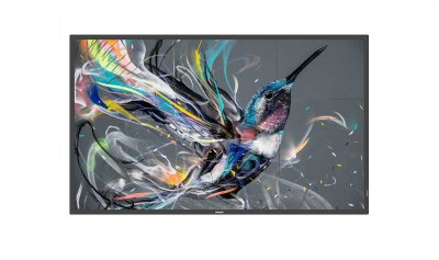 PHILIPS Moniteur Uhd 65" Android Q-line 65bdl3550q - 