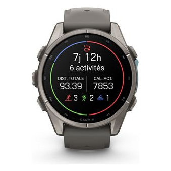 GARMIN Montre connect&eacute;e  Fenix 9 43 mm Argent avec bracelet Gris
