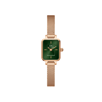 DANIEL WELLINGTON MONTRE FEMME  DW00100648