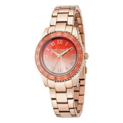 JUST CAVALLI Montre Femme  R7253202506 (35 mm)