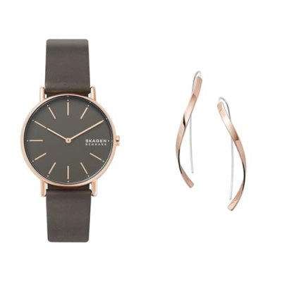 SKAGEN Montre Femme Signatur Gris SKW2794 Marron 
