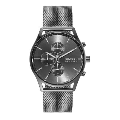 SKAGEN Montre Homme Holst Gris SKW6608 Gris 