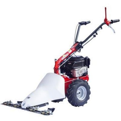 EUROSYSTEMS Motofaucheuse &agrave; section - barre de coupe 87 cm - B&S series 625 - M210