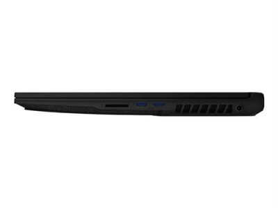  MSI GL75 Leopard 10SER-036FR - Noir
