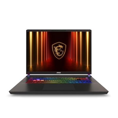 MSI  Vector 17 HX AI A2XWHG-011FR 17"" Intel Core Ultra 9 32 Go Gris 2 To