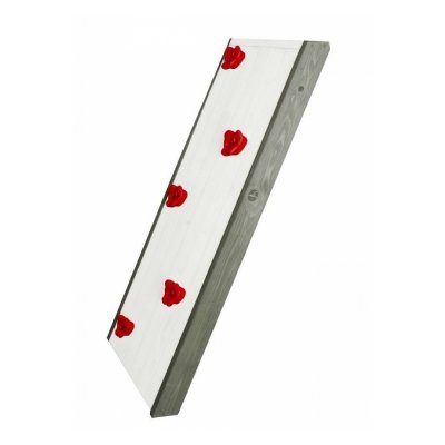 SUNNY POCKET Mur d'escalade pour beach towers sunny