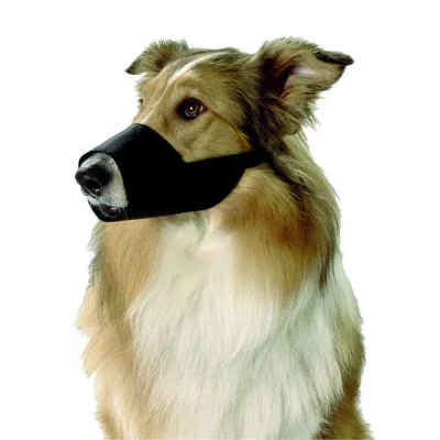 KARLIE Museli&egrave;re en nylon noir taille s - jack russel westie