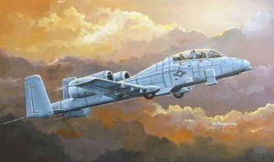 HOBBY BOSS N/aw A-10a Thunderbolt Ii - 1:72e - 
