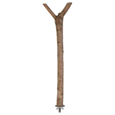 TRIXIE Natural Living Perchoir, Forme Y, 35 Cm/&Oslash; 18 Mm - Mon Animalerie