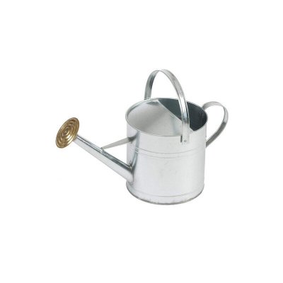 NATURE  Arrosoir design traditionnel en acier galvanis&eacute; - 9,0 ltr