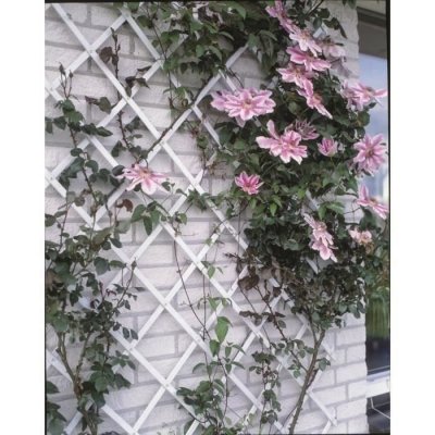 NATURE  - Palissade de jardin 100 x 200 cm pvc Blanc Blanc