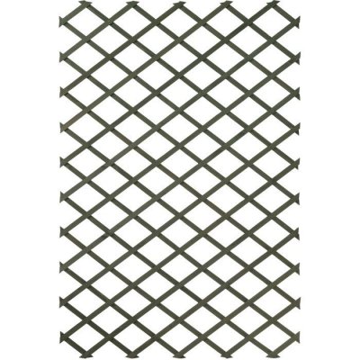 NATURE  Treillis croisillon extensible en bois peint en vert 100x200cm