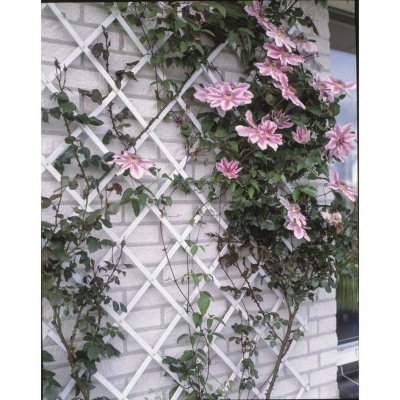 NATURE  - Treillis extensible plastique blanc - 50x150cm