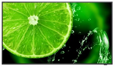 NEC  E658 65&acute;&acute; Uhd Led Monitor Noir