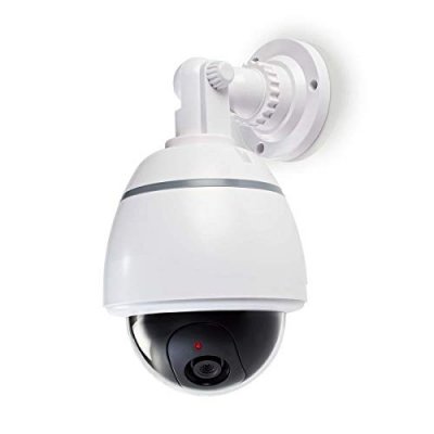 NEDIS  DUMCD50WT cam&eacute;ra de surveillance factice Dome Blanc