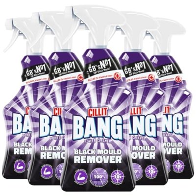 CILLIT BANG Nettoyant M&eacute;nager Anti-moisissures  - Le Pistolet De 750 Ml