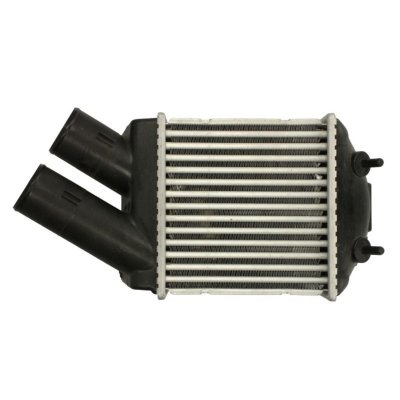 NISSENS  Intercooler (&eacute;changeur d'air) 96855 RENAULT SC&Eacute;NIC