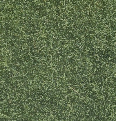 NOCH  - 07102 - mod&eacute;lisme ferroviaire - herbes sauvages vert clair (50 g)