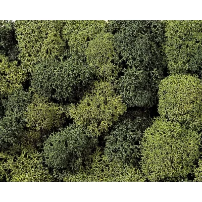 NOCH  Mousse 08610 Vert Clair, Vert fonc&eacute;
