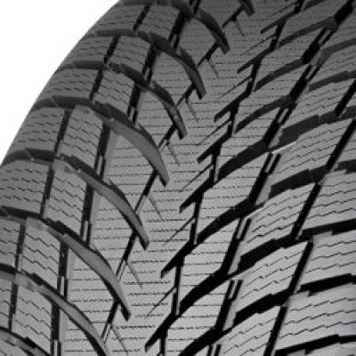 NOKIAN  WR Snowproof P ( 255/40 R19 100V XL )