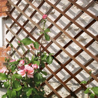 NORTENE  Treillis en bois FSC extensible TRELLIWOOD - 1 x 2 m - Marron