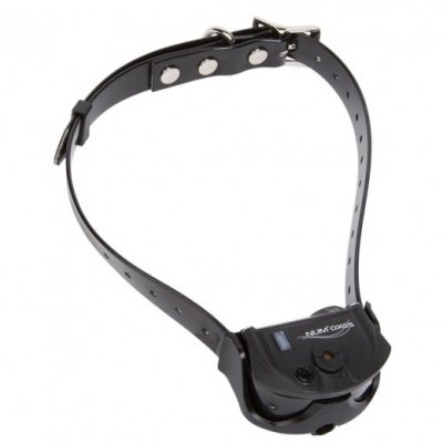 NUM AXES CANICOM NUM'AXES Collier Seul CANICOM Spray (sans Cartouche de Spray)