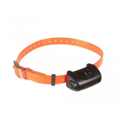NUM AXES NUMAXES Collier suppl&eacute;mentaire CANICOM 5 - Sangle orange
