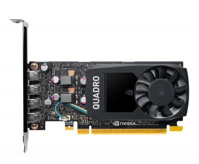 PNY NVIDIA Quadro P1000 - Grafikarten - Quadro P1000-4 Go
