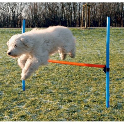 TRIXIE Obstacle Agility  pour chiens