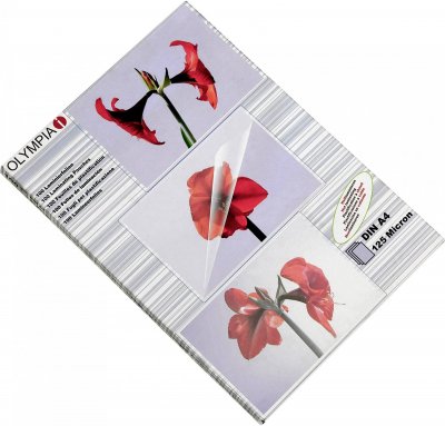 OLYMPIA  Laminating Pouches Din A4 125 Microns 100 Units Clair